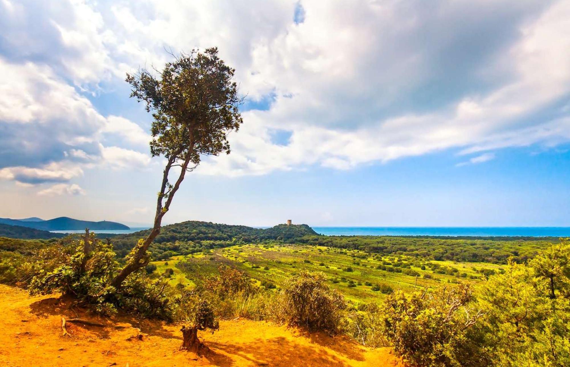 Agriturismo Capricorni Massa Marittima Εξωτερικό φωτογραφία